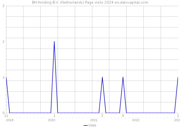 BH Holding B.V. (Netherlands) Page visits 2024 