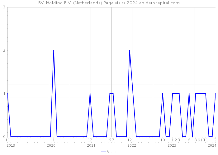 BVI Holding B.V. (Netherlands) Page visits 2024 