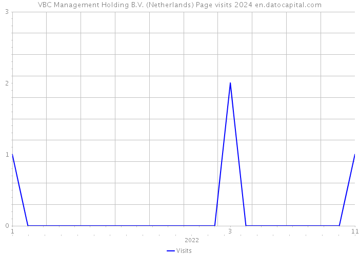 VBC Management Holding B.V. (Netherlands) Page visits 2024 
