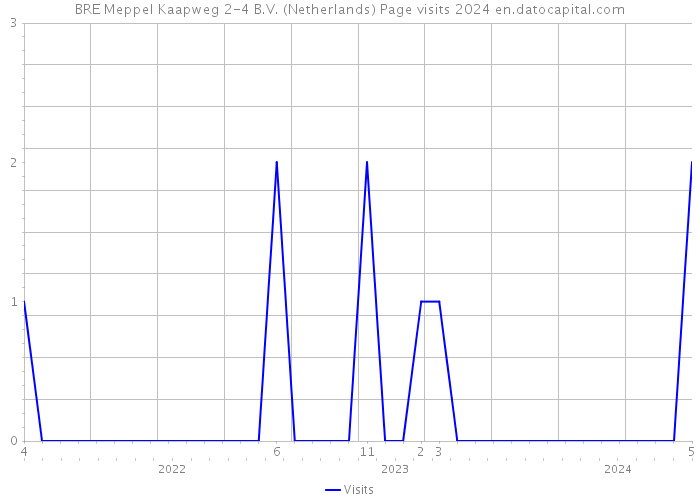 BRE Meppel Kaapweg 2-4 B.V. (Netherlands) Page visits 2024 