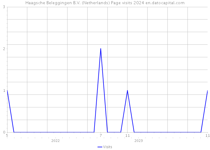 Haagsche Beleggingen B.V. (Netherlands) Page visits 2024 
