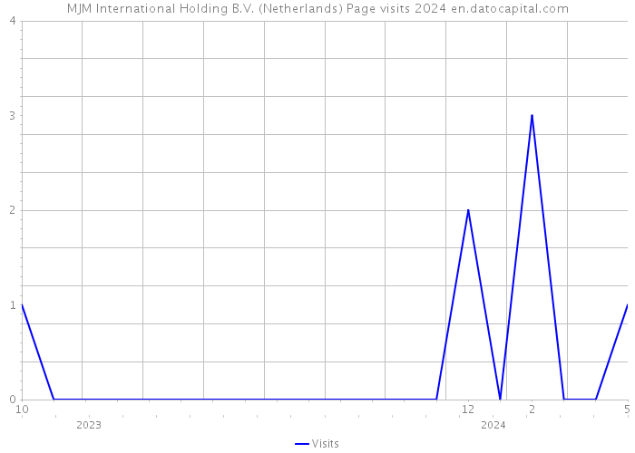 MJM International Holding B.V. (Netherlands) Page visits 2024 