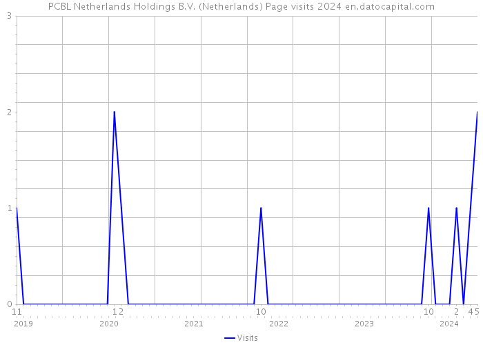 PCBL Netherlands Holdings B.V. (Netherlands) Page visits 2024 