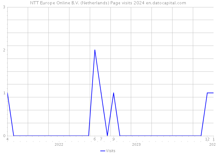 NTT Europe Online B.V. (Netherlands) Page visits 2024 