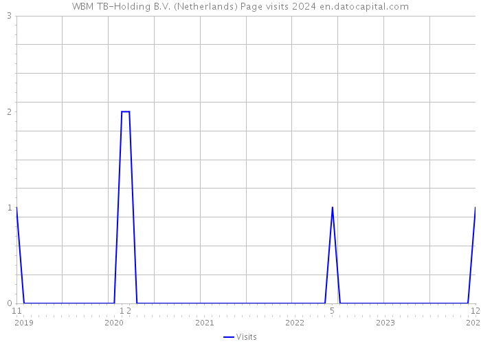 WBM TB-Holding B.V. (Netherlands) Page visits 2024 