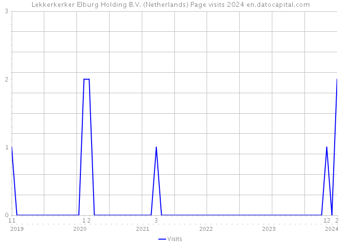 Lekkerkerker Elburg Holding B.V. (Netherlands) Page visits 2024 
