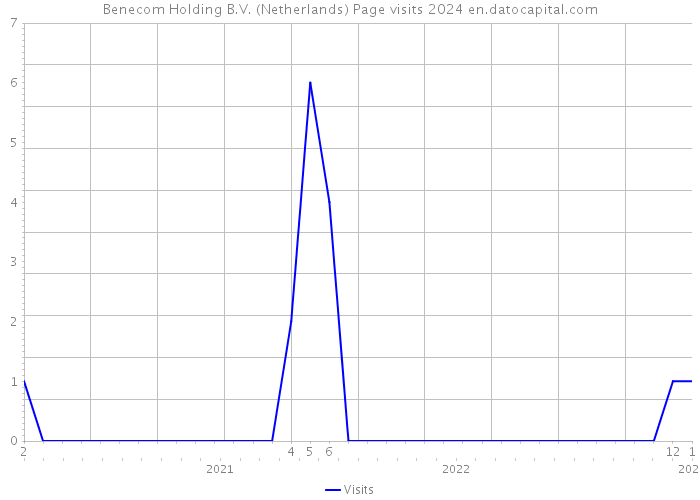 Benecom Holding B.V. (Netherlands) Page visits 2024 