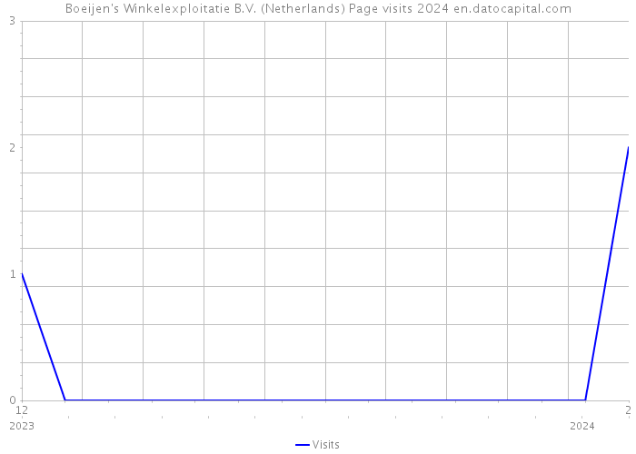 Boeijen's Winkelexploitatie B.V. (Netherlands) Page visits 2024 