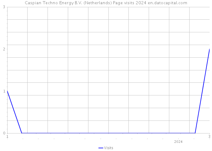 Caspian Techno Energy B.V. (Netherlands) Page visits 2024 