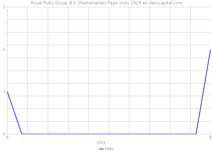 Royal Ruby Group B.V. (Netherlands) Page visits 2024 