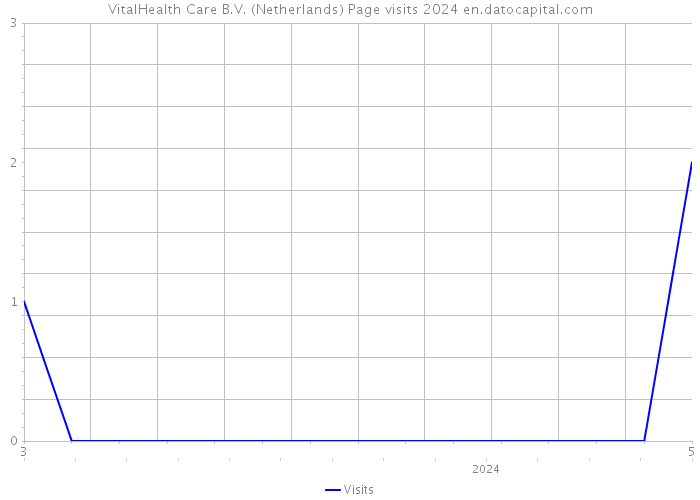VitalHealth Care B.V. (Netherlands) Page visits 2024 