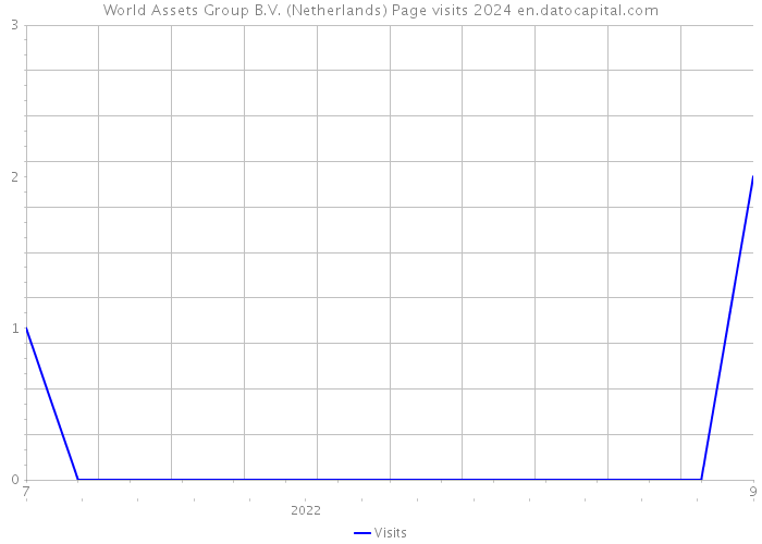 World Assets Group B.V. (Netherlands) Page visits 2024 