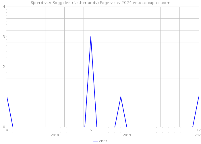 Sjoerd van Boggelen (Netherlands) Page visits 2024 