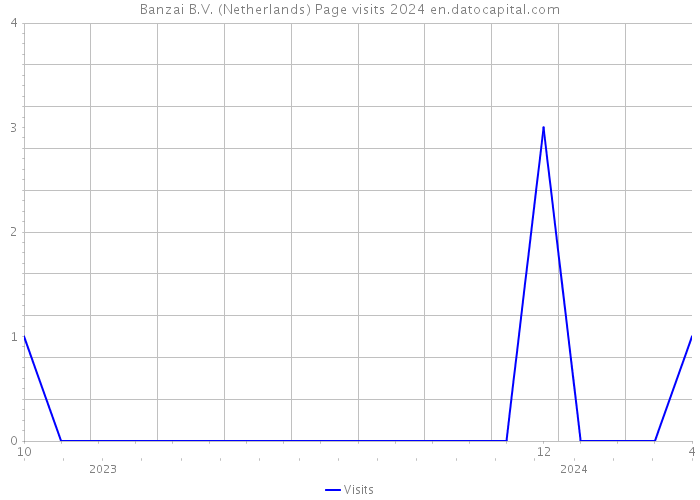Banzai B.V. (Netherlands) Page visits 2024 