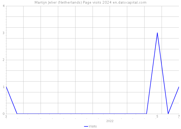 Martijn Jelier (Netherlands) Page visits 2024 