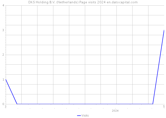 DKS Holding B.V. (Netherlands) Page visits 2024 