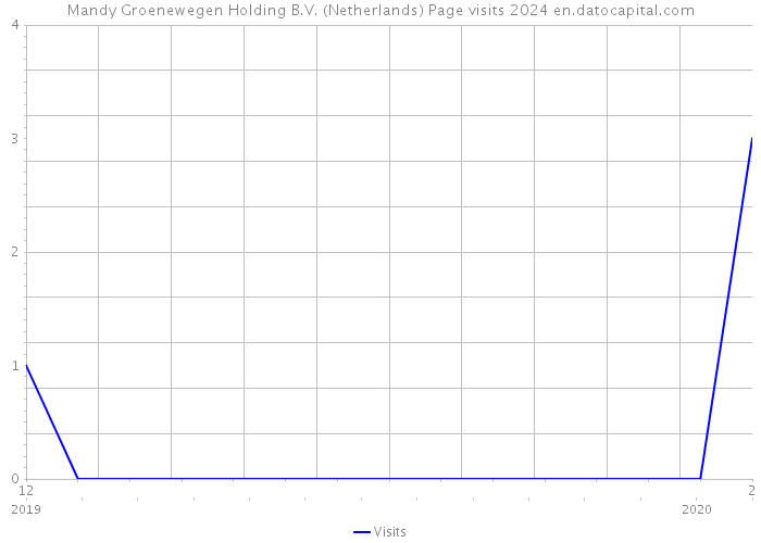Mandy Groenewegen Holding B.V. (Netherlands) Page visits 2024 