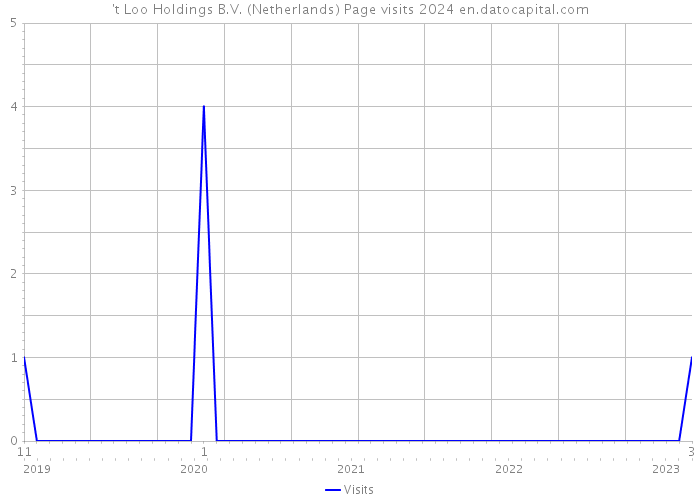't Loo Holdings B.V. (Netherlands) Page visits 2024 