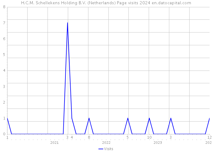 H.C.M. Schellekens Holding B.V. (Netherlands) Page visits 2024 