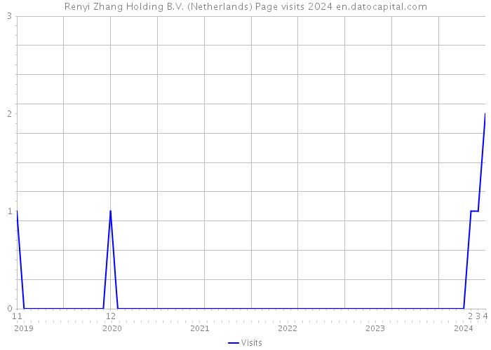 Renyi Zhang Holding B.V. (Netherlands) Page visits 2024 