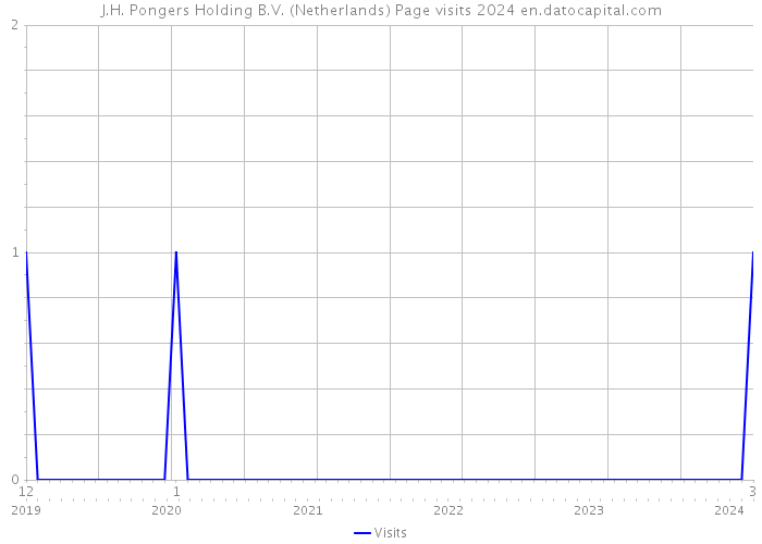 J.H. Pongers Holding B.V. (Netherlands) Page visits 2024 