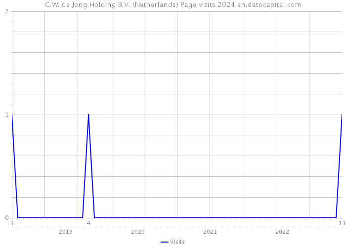 C.W. de Jong Holding B.V. (Netherlands) Page visits 2024 