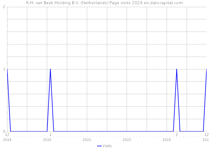 R.H. van Beek Holding B.V. (Netherlands) Page visits 2024 