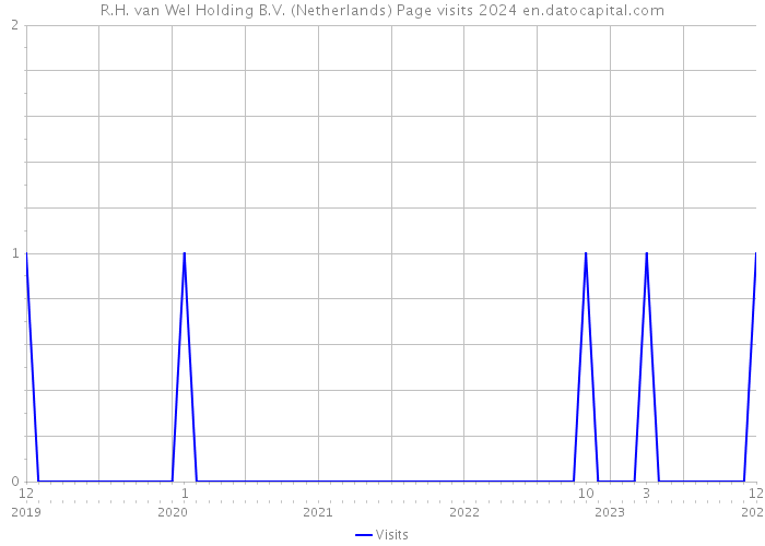 R.H. van Wel Holding B.V. (Netherlands) Page visits 2024 
