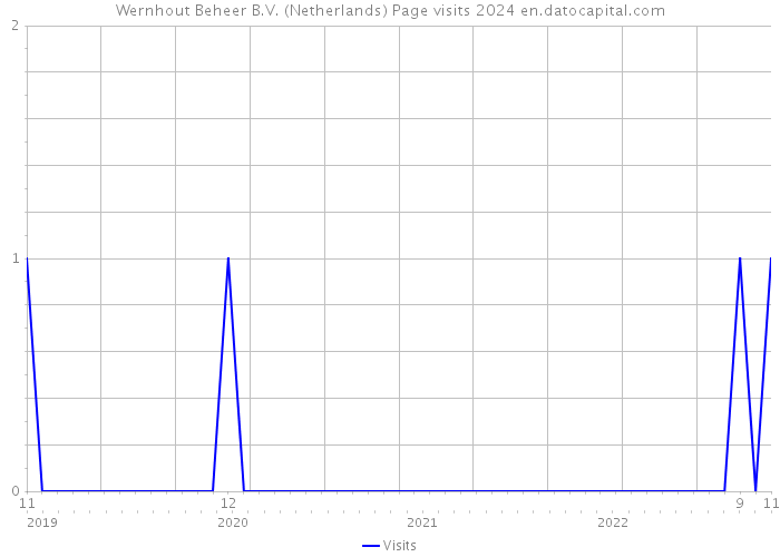 Wernhout Beheer B.V. (Netherlands) Page visits 2024 
