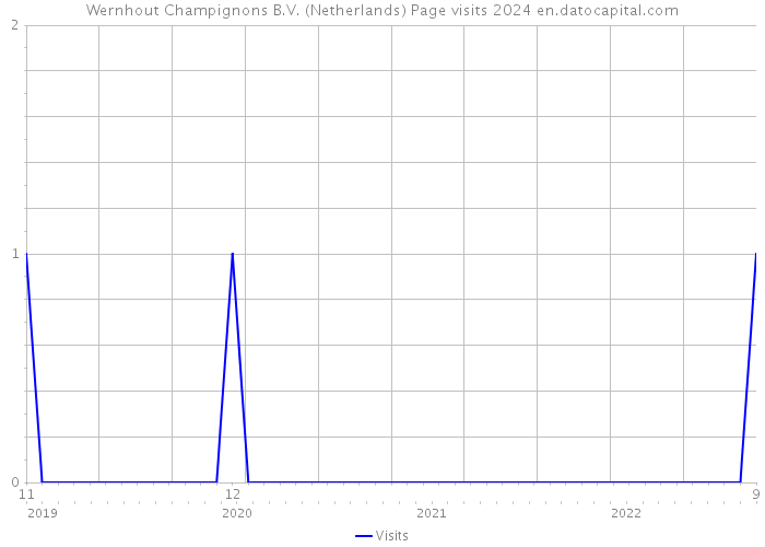 Wernhout Champignons B.V. (Netherlands) Page visits 2024 
