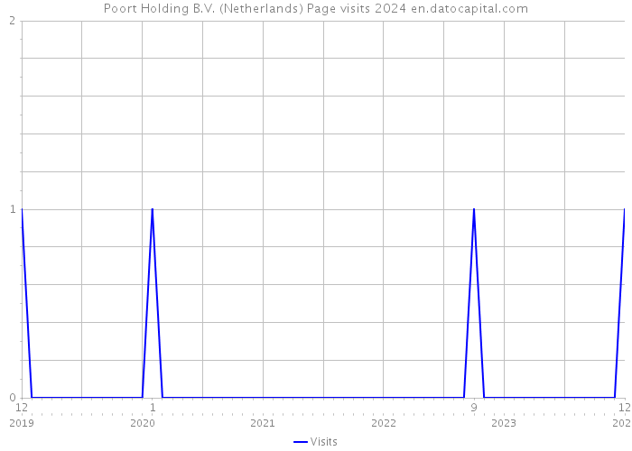 Poort Holding B.V. (Netherlands) Page visits 2024 