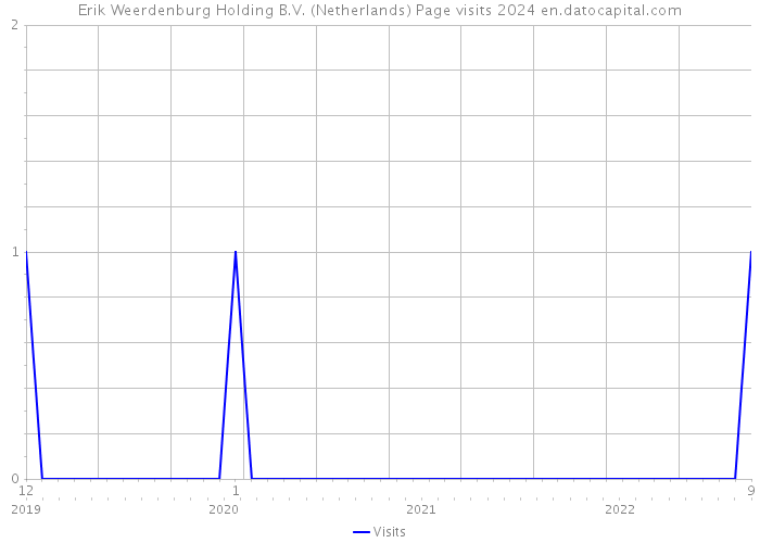 Erik Weerdenburg Holding B.V. (Netherlands) Page visits 2024 