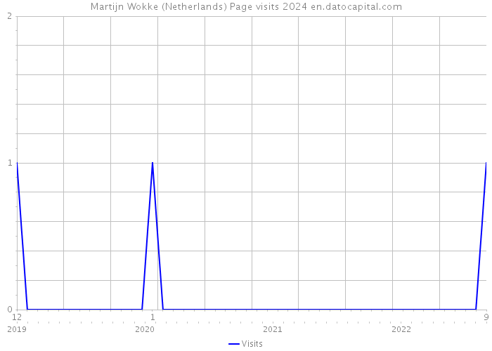 Martijn Wokke (Netherlands) Page visits 2024 
