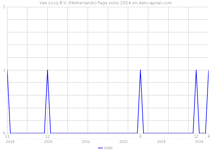 Van Looij B.V. (Netherlands) Page visits 2024 