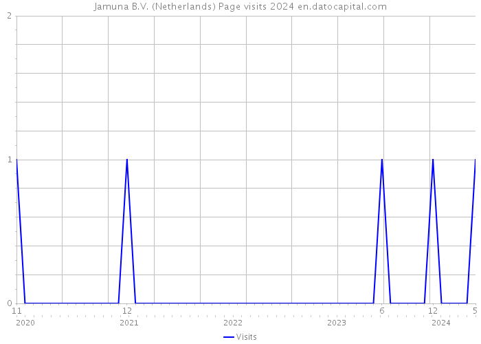 Jamuna B.V. (Netherlands) Page visits 2024 