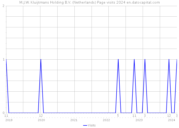 M.J.W. Kluijtmans Holding B.V. (Netherlands) Page visits 2024 