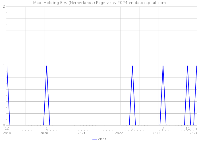 Max. Holding B.V. (Netherlands) Page visits 2024 