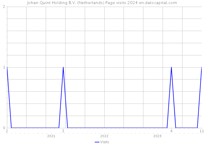 Johan Quint Holding B.V. (Netherlands) Page visits 2024 