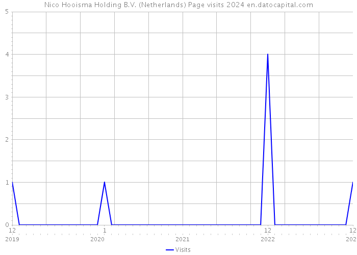 Nico Hooisma Holding B.V. (Netherlands) Page visits 2024 
