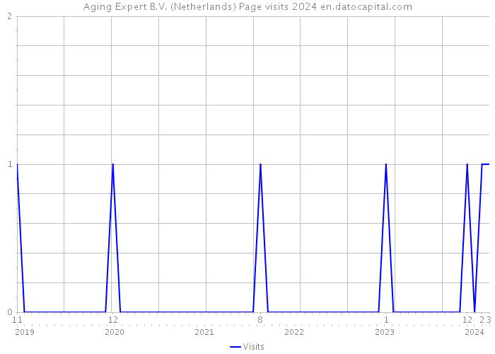 Aging Expert B.V. (Netherlands) Page visits 2024 