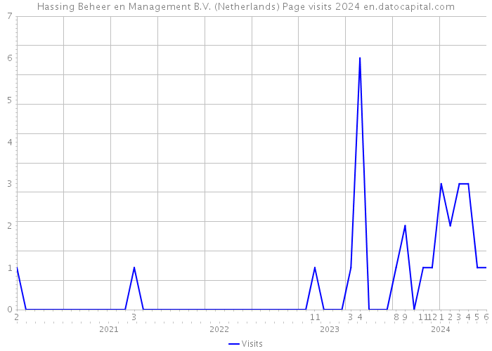 Hassing Beheer en Management B.V. (Netherlands) Page visits 2024 