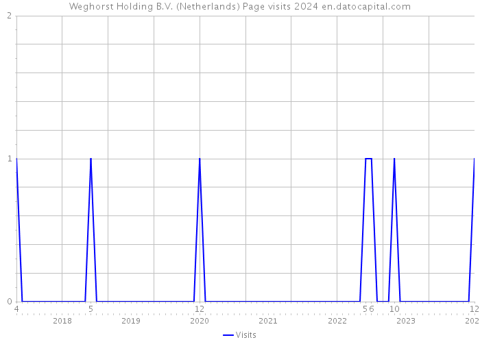 Weghorst Holding B.V. (Netherlands) Page visits 2024 