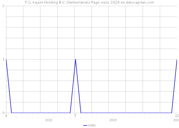 F.G. Kayim Holding B.V. (Netherlands) Page visits 2024 