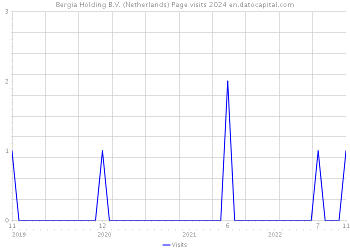 Bergia Holding B.V. (Netherlands) Page visits 2024 