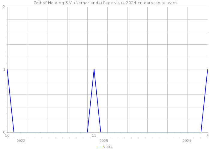 Zethof Holding B.V. (Netherlands) Page visits 2024 