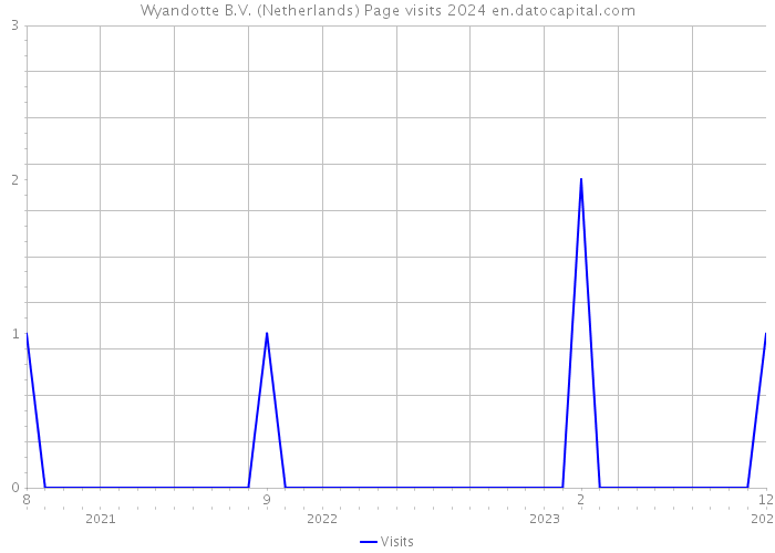Wyandotte B.V. (Netherlands) Page visits 2024 