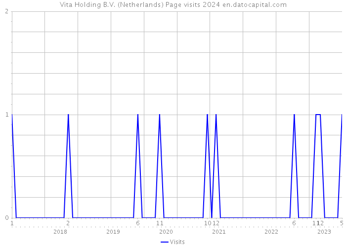 Vita Holding B.V. (Netherlands) Page visits 2024 