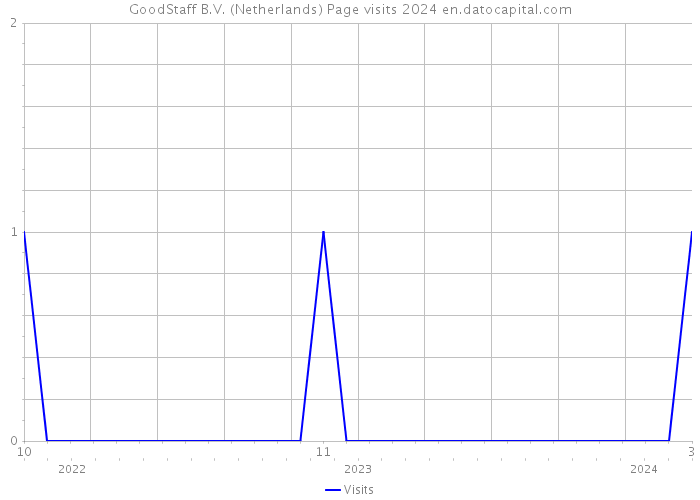 GoodStaff B.V. (Netherlands) Page visits 2024 
