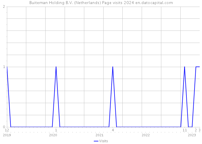 Buiteman Holding B.V. (Netherlands) Page visits 2024 