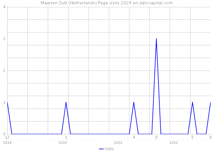 Maarten Zutt (Netherlands) Page visits 2024 